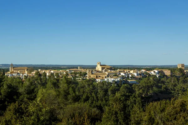 Cuenca 'nın Alarcon kasabasındaki ortaçağ kalesi. Castilla la la Mancha 'da tahkimat