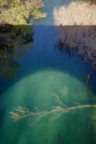 Fırtınadan sonra bir nehrin sularındaki devrilmiş ağaç manzarası. Köprüden ışıklar ve gölgeler