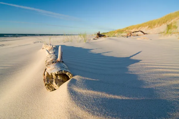 Dune на пляжі на заході сонця — стокове фото