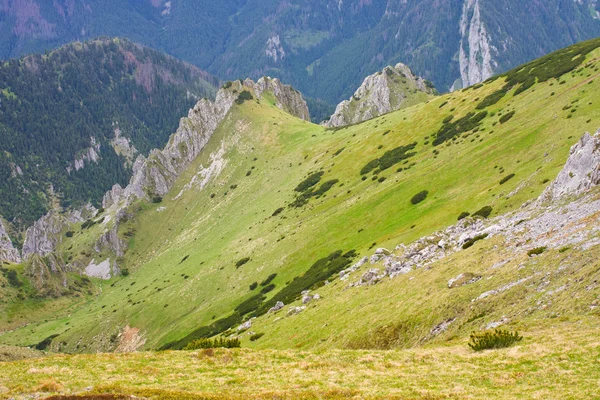 Nyáron a lengyel Tátrában — Stock Fotó