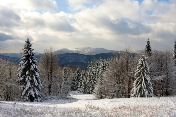 Kışın bieszczady, Polonya — Stok fotoğraf