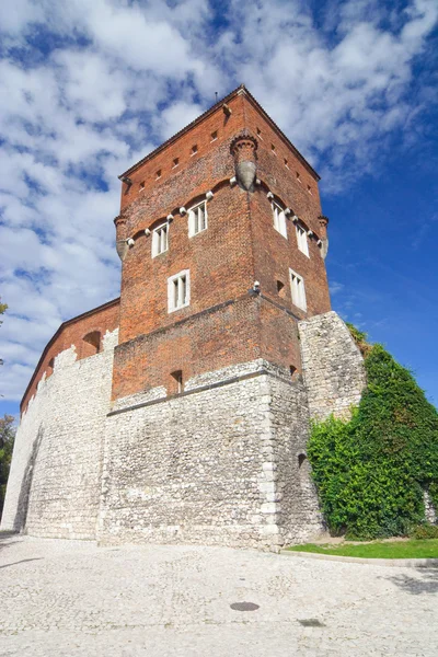 Wawel, Krakov — Stock fotografie