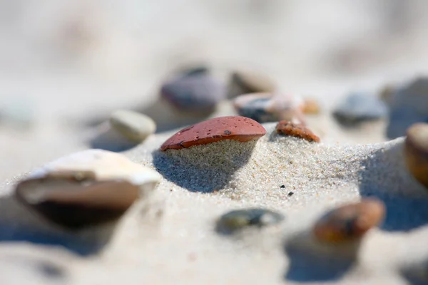 Duin op strand bij zonsondergang — Stockfoto