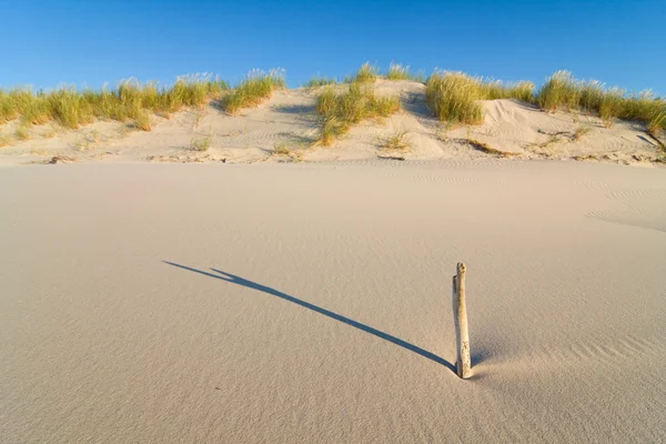 Duna sulla spiaggia al tramonto — Foto Stock