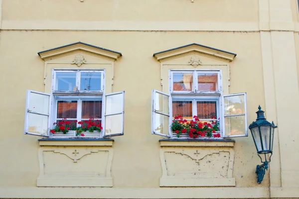 Παράθυρο και λουλούδι, Πράγα, Τσεχία — Φωτογραφία Αρχείου