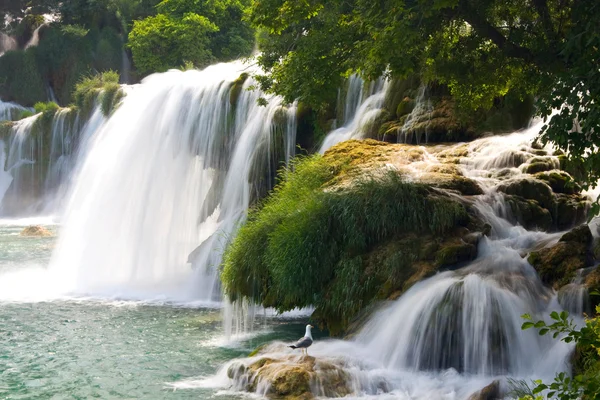 Vattenfall på krka-floden. nationalpark, Dalmatien, Kroatien — Stockfoto