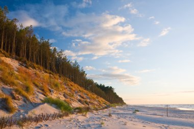 Dune batımında sahilde