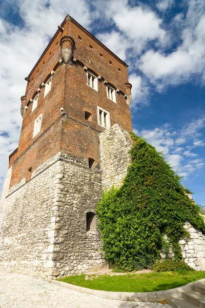 Castillo de Wawel en Cracovia, Polonia —  Fotos de Stock