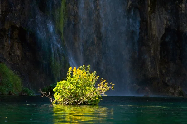 Národní park Plitvice, Chorvatsko — Stock fotografie