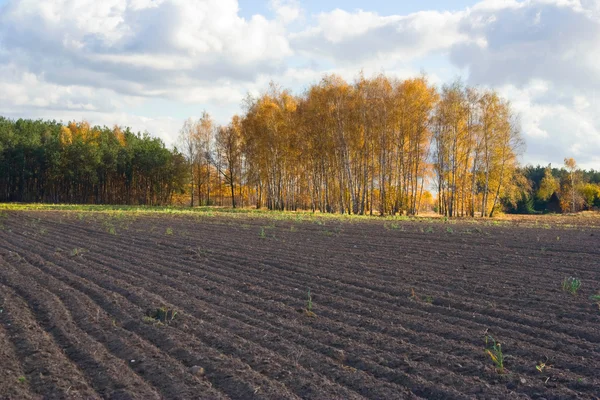 Paysage agricole d'automne — Photo