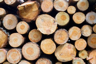Stacked Logs Texture, Natural Background clipart