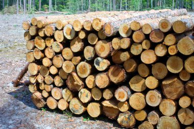 yığılmış günlükleri doku, doğal arka plan