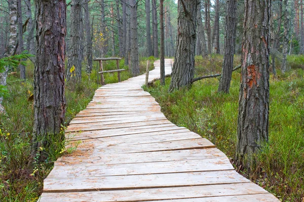 Trä gångbron — Stockfoto