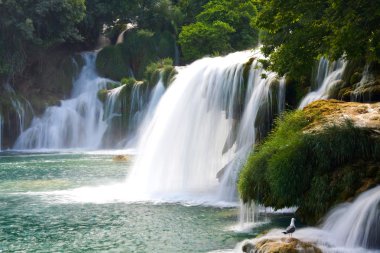 şelaleler krka Nehri üzerinde. milli park, Dalmaçya, Hırvatistan
