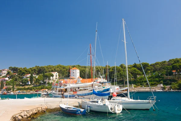 Marina, maslinica, ostrov Šolta, Chorvatsko — Stock fotografie