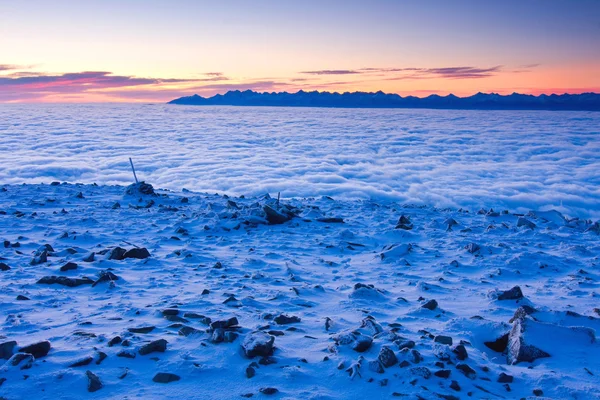 Krajina zimní hill scéna s mlha. — Stock fotografie