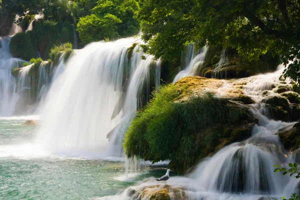 Wodospady na rzece krka. park narodowy, Dalmacja, Chorwacja — Zdjęcie stockowe