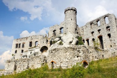 ogrodzieniec Kalesi, Polonya.