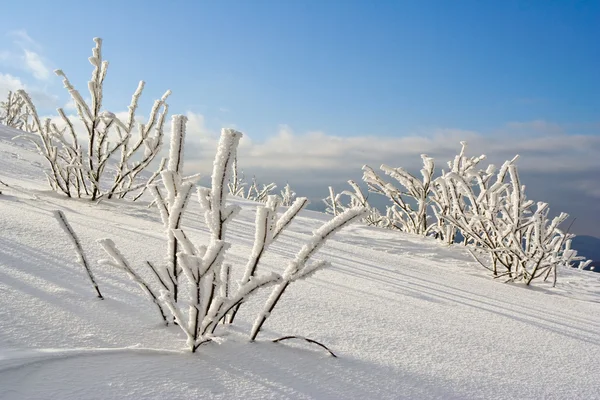 Inverno montagne paesaggio — Foto Stock