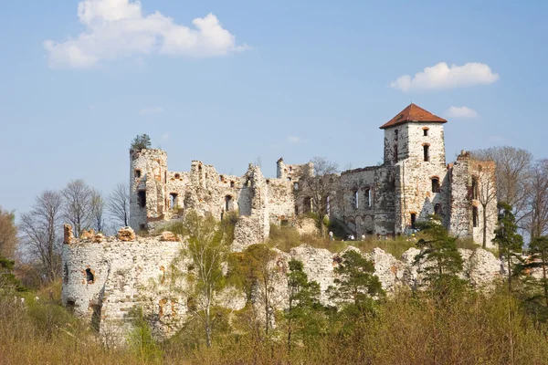 Slott rudno - Polen. medeltida fästning i regionen jura — Stockfoto