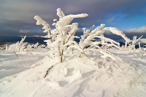 Hiver montagnes paysage — Photo