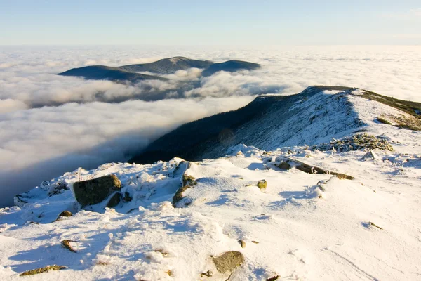 Paesaggio invernale collina scena con nebbia . — Foto Stock