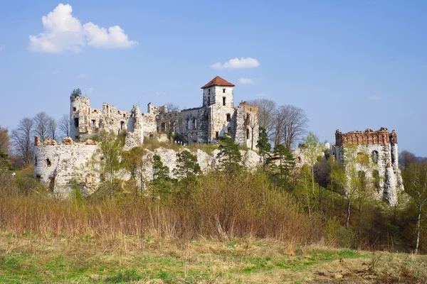 Castillo Rudno - Polonia. Fortaleza medieval en la región del Jura — Foto de Stock