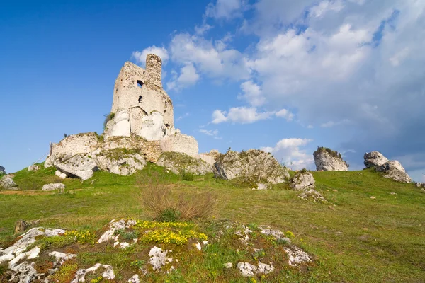 Pozůstatky středověkého hradu mirow v Polsku — Stock fotografie