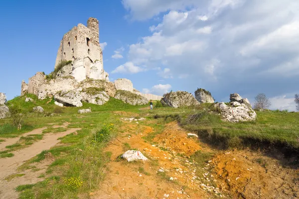 Ruins of medieval castle Mirow in Poland — Stock Photo, Image