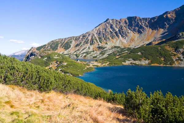 Zomer in de vallei van de 5 meren in hoge tatra bergen — Stockfoto