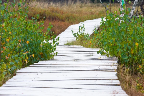 Trä gångbron — Stockfoto