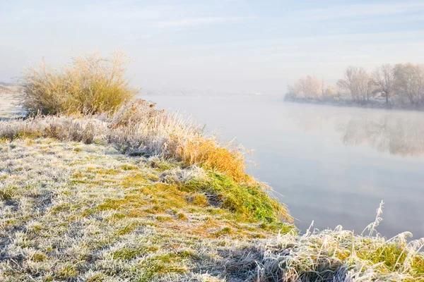 Bos, rivier en het voorjaar. natuur samenstelling. — Stockfoto