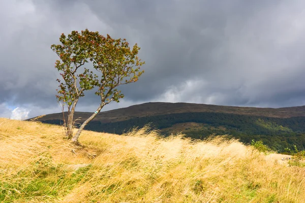 Beautiful autumn mountain — Stock Photo, Image