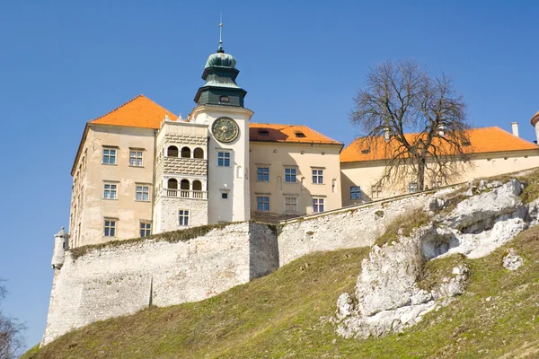 Pieskowa 斯卡拉城堡克拉科夫附近 — 图库照片