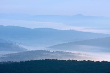 bieszczady dağlar, Polonya, Avrupa'nın sisli peyzaj