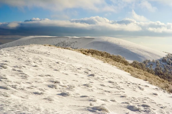 冬山景观 — 图库照片