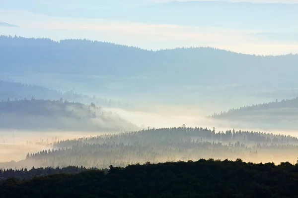 在 bieszczady 山，波兰，欧洲的雾景观 — Φωτογραφία Αρχείου