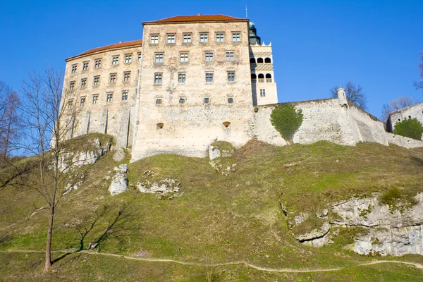 Замок Пиескова Скала недалеко от Кракова — стоковое фото