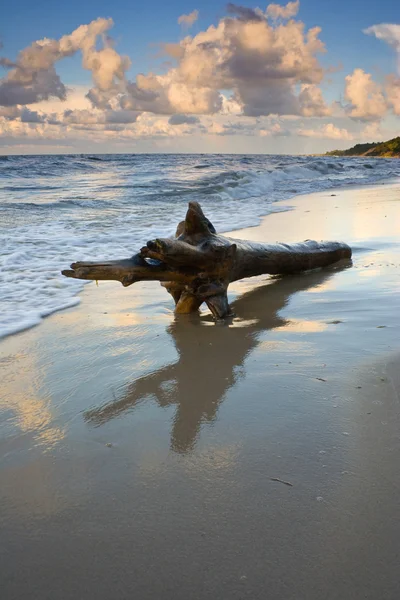 Solnedgång på stranden — Stockfoto