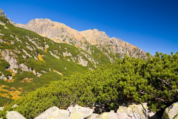 Zomer in de vallei van de 5 meren in hoge tatra bergen — Stockfoto