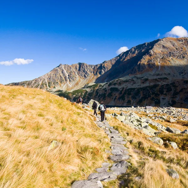 Zomer in de vallei van de 5 meren in hoge tatra bergen — Stockfoto