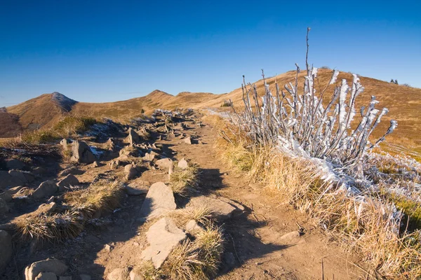 Podzimní hora v bieszczady, Polsko — Stock fotografie