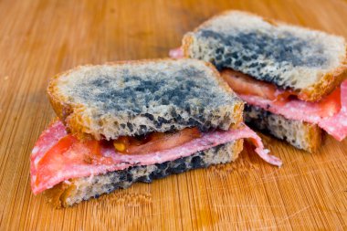 moldy sandwich with salami, tomatoes on a chopping board clipart