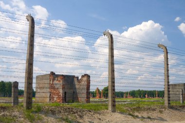auschitz birkenau, faşist imha kampı, Polonya