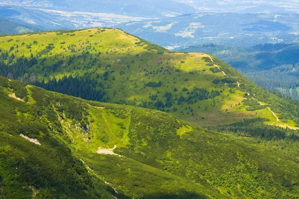 Montagne Babia Gora, Pologne — Photo