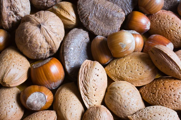 Gemischte Nüsse in der Schale Auswahl von Brasilien, Mandeln, Walnüssen und Haselnüssen — Stockfoto