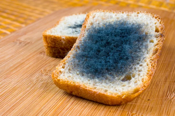 Mögligt bröd. — Stockfoto