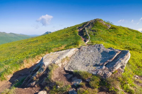 Grön äng i berg. — Stockfoto