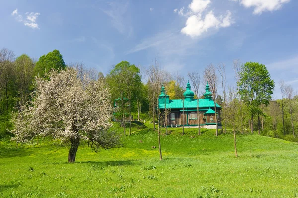 Stará pravoslavná církev v szczawne, beskid niski hory, jihovýchodní Polsko. — Stock fotografie