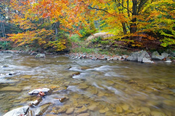 Wasserfall mit Bäumen und Felsen in den Bergen im Herbst — Stockfoto